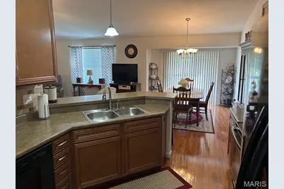 20 Parkville Lane, Festus, MO 63028 - Photo 15