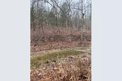 10131 State Road Bb, Hillsboro, MO 63050 - Photo 7