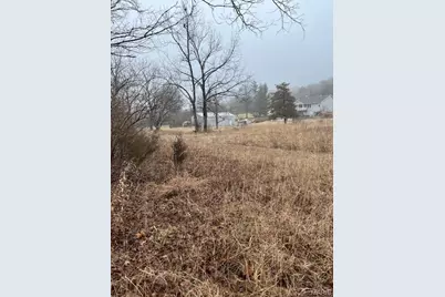 10131 State Road Bb, Hillsboro, MO 63050 - Photo 3