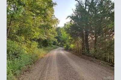 0000 Wayne 220 B, Silva, MO 63964 - Photo 5
