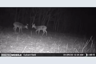 0000 Wayne 220 B, Silva, MO 63964 - Photo 53