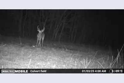 0000 Wayne 220 B, Silva, MO 63964 - Photo 51