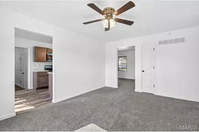 816 Ruth Avenue, Festus, MO 63028 - Photo 9