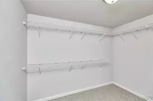 131 Hollyhock Dr, Troy, MO 63379 - Photo 45