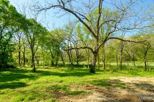 [Address not provided], Shelbyville, MO 65565 - Photo 31