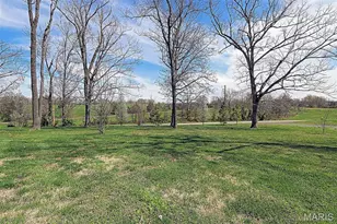 1000 Redbud Ln, Farmington, MO 63640 - Photo 33