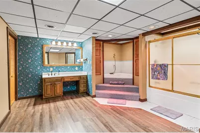 9843 E Vista Drive, Hillsboro, MO 63050 - Photo 41