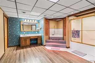 9843 E Vista Dr, Hillsboro, MO 63050 - Photo 41