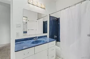 923 Withnell Ave, Saint Louis, MO 63118 - Photo 19