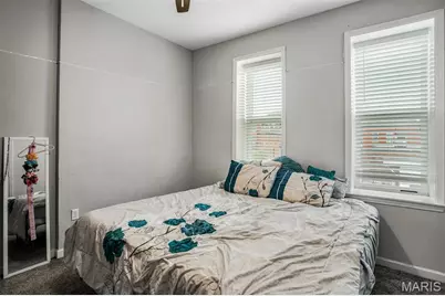 3857 Virginia Avenue, Saint Louis, MO 63118 - Photo 23