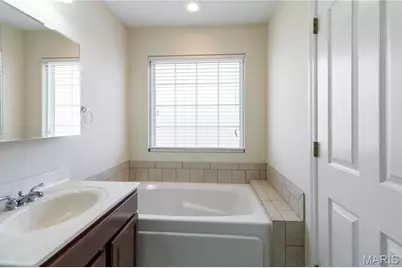 217 Scenic Hills Drive, De Soto, MO 63020 - Photo 23