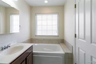 217 Scenic Hills Dr, De Soto, MO 63020 - Photo 23
