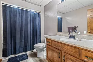 220 Buzzard Rock Rd, Farmington, MO 63640 - Photo 75