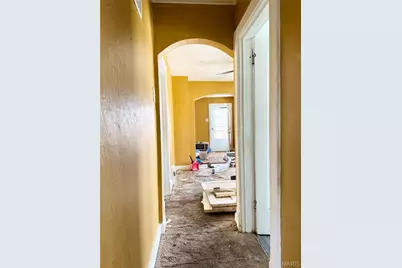 5346 Janet Avenue, Saint Louis, MO 63136 - Photo 19