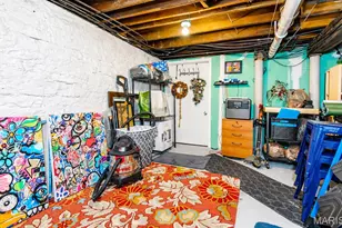 3846 Shaw Blvd, Saint Louis, MO 63110 - Photo 39