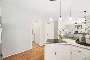 16112 Ridgewoods Mnr Cir, Ellisville, MO 63038 - Photo 27