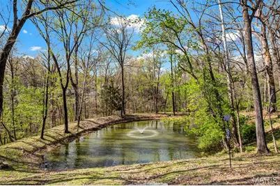 1869 Walnutway Drive, Saint Louis, MO 63146 - Photo 85