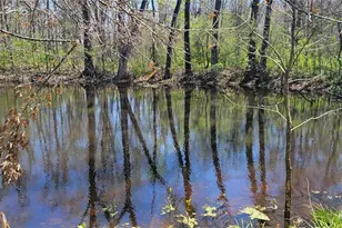 2931 Brune Rd, Farmington, MO 63640 - Photo 9