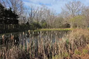 1300 Radford Rd, Cuba, MO 65453 - Photo 35