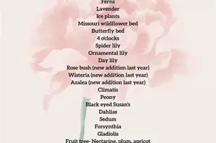 394 Parkway Dr, Troy, MO 63379 - Photo 27