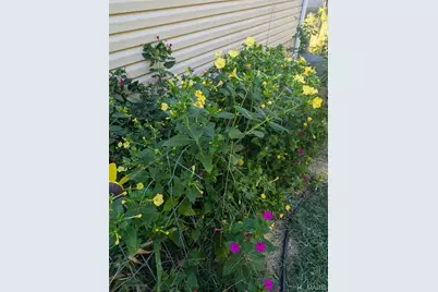 394 Parkway Drive, Troy, MO 63379 - Photo 35