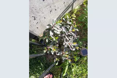 394 Parkway Drive, Troy, MO 63379 - Photo 45