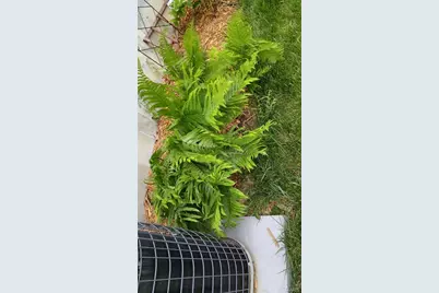 394 Parkway Drive, Troy, MO 63379 - Photo 43