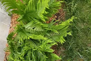 394 Parkway Dr, Troy, MO 63379 - Photo 43