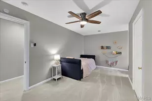 326 Luther Ln, Glendale, MO 63122 - Photo 39