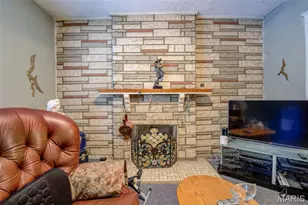 1211 Clara Ave Ave, Saint Louis, MO 63112 - Photo 19