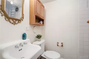 17 Valley Dr, Florissant, MO 63031 - Photo 11