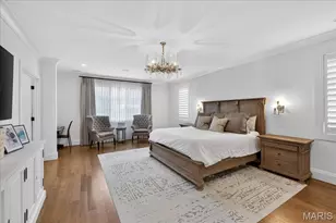 209 N Bemiston Ave, Saint Louis, MO 63105 - Photo 19