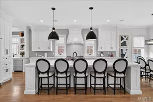 209 N Bemiston Ave, Saint Louis, MO 63105 - Photo 15