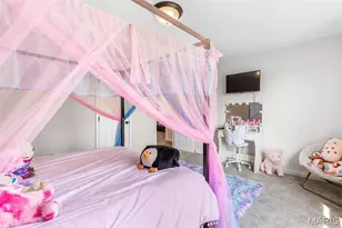 228 Red Maple Ct, Hillsboro, MO 63050 - Photo 65