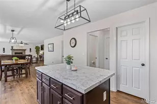 228 Red Maple Ct, Hillsboro, MO 63050 - Photo 39