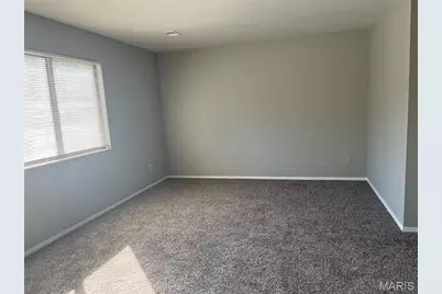 11636 Cedar Walk Drive, Saint Louis, MO 63146 - Photo 3