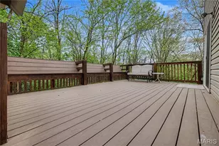 316 W Walnut St, Pacific, MO 63069 - Photo 31