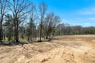 308 Schaper Estates Crossing, Foristell, MO 63348 - Photo 45