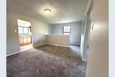 10063 Northgate Drive, Riverview, MO 63137 - Photo 7