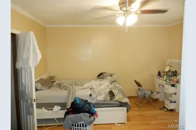3530 Lucy Street, Saint Louis, MO 63116 - Photo 19