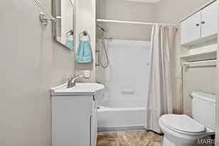 4747 Milentz Ave, Saint Louis, MO 63116 - Photo 21
