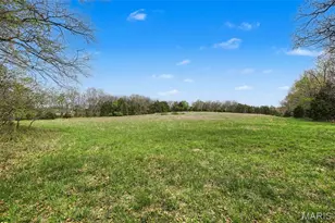 6388 Salamone Rd, Cedar Hill, MO 63016 - Photo 65