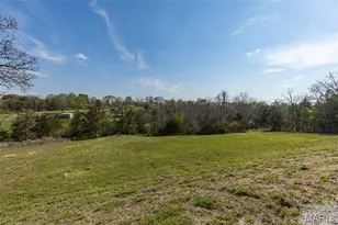 4046 Frissell Rd, De Soto, MO 63020 - Photo 5