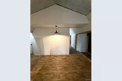 1010 Mead Lane, Ironton, MO 63650 - Photo 9