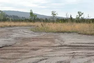 1010 Mead Ln, Ironton, MO 63650 - Photo 41