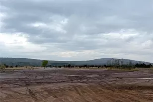 1010 Mead Ln, Ironton, MO 63650 - Photo 35