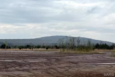 1010 Mead Lane, Ironton, MO 63650 - Photo 37