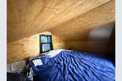 1010 Mead Lane, Ironton, MO 63650 - Photo 19