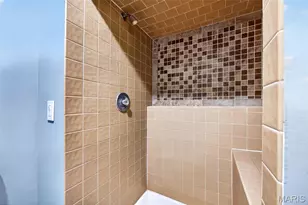 26 Madre Ct, Foristell, MO 63348 - Photo 61