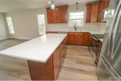 1011 Napoleon Drive, Bonne Terre, MO 63628 - Photo 5